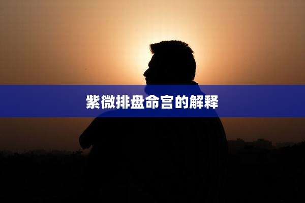 紫微排盘命宫的解释