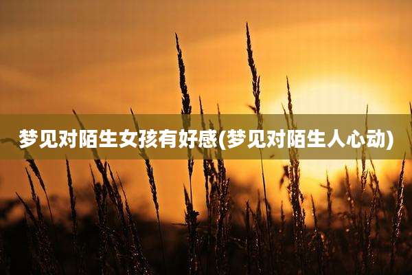 梦见对陌生女孩有好感(梦见对陌生人心动)