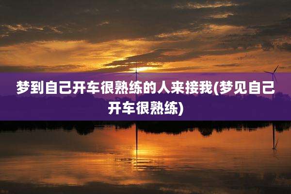 梦到自己开车很熟练的人来接我(梦见自己开车很熟练)