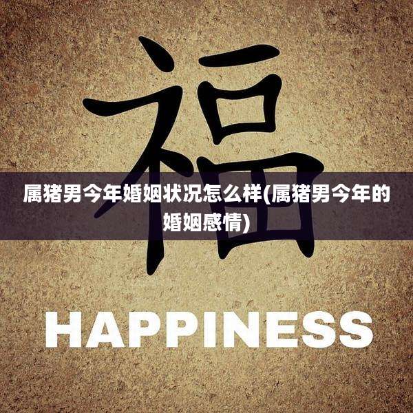 属猪男今年婚姻状况怎么样(属猪男今年的婚姻感情)