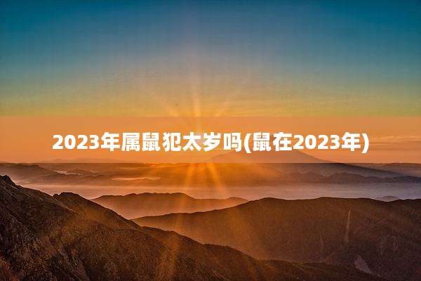 2023年属鼠犯太岁吗(鼠在2023年)