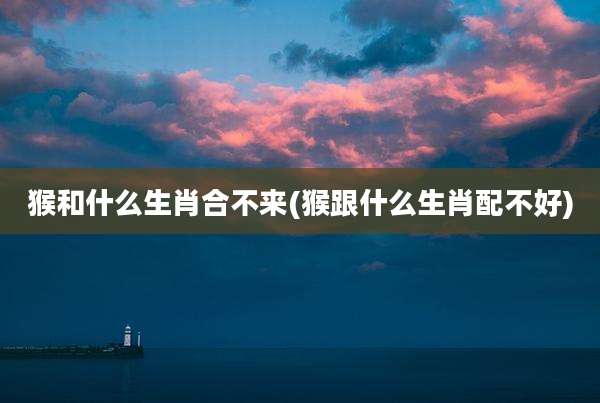 猴和什么生肖合不来(猴跟什么生肖配不好)
