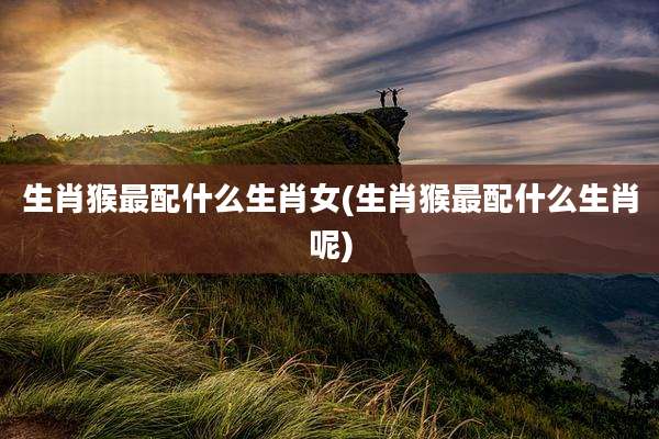 生肖猴最配什么生肖女(生肖猴最配什么生肖呢)
