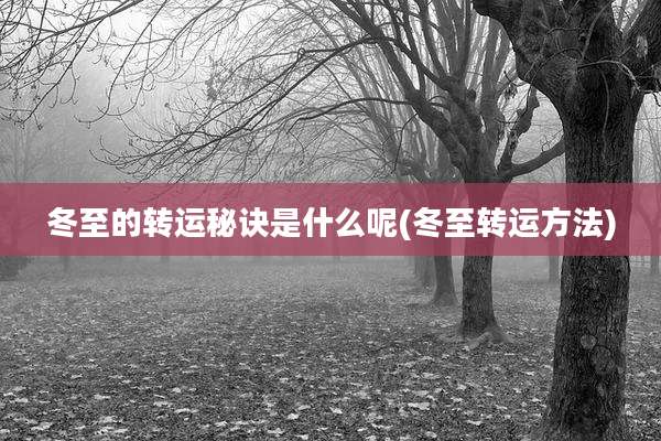 冬至的转运秘诀是什么呢(冬至转运方法)