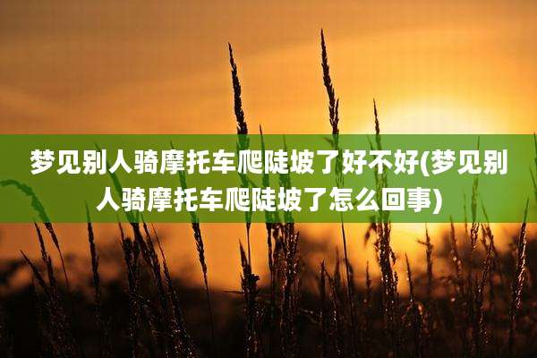 梦见别人骑摩托车爬陡坡了好不好(梦见别人骑摩托车爬陡坡了怎么回事)
