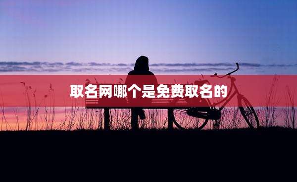 取名网哪个是免费取名的