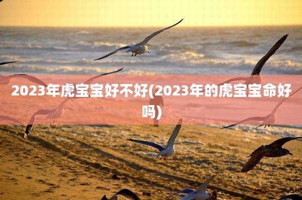 2023年虎宝宝好不好(2023年的虎宝宝命好吗)
