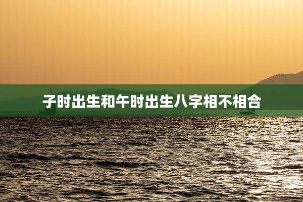 子时出生和午时出生八字相不相合