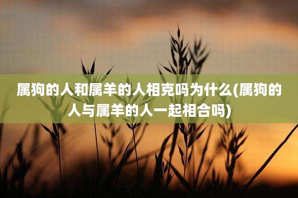 属狗的人和属羊的人相克吗为什么(属狗的人与属羊的人一起相合吗)