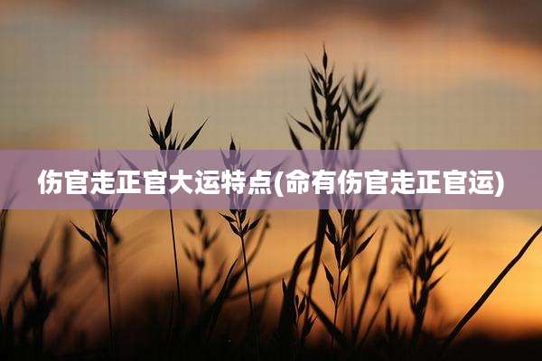 伤官走正官大运特点(命有伤官走正官运)
