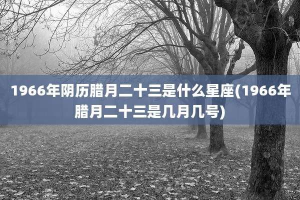 1966年阴历腊月二十三是什么星座(1966年腊月二十三是几月几号)