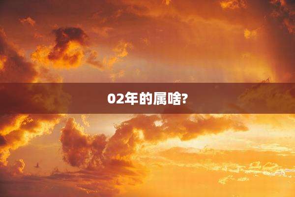 02年的属啥?