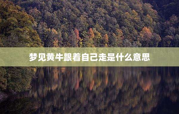 梦见黄牛跟着自己走是什么意思