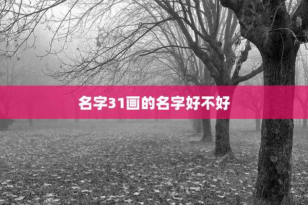 名字31画的名字好不好