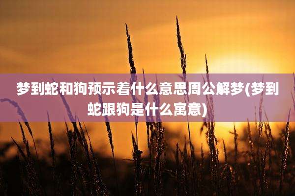 梦到蛇和狗预示着什么意思周公解梦(梦到蛇跟狗是什么寓意)