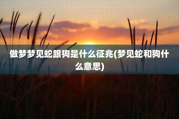 做梦梦见蛇跟狗是什么征兆(梦见蛇和狗什么意思)