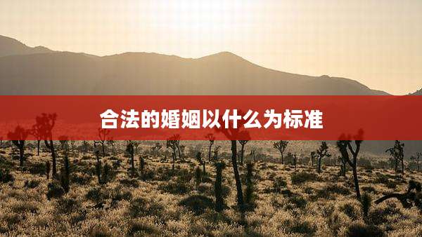 合法的婚姻以什么为标准