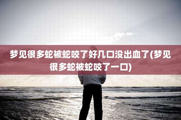 梦见很多蛇被蛇咬了好几口没出血了(梦见很多蛇被蛇咬了一口)