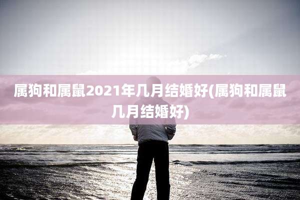 属狗和属鼠2021年几月结婚好(属狗和属鼠几月结婚好)