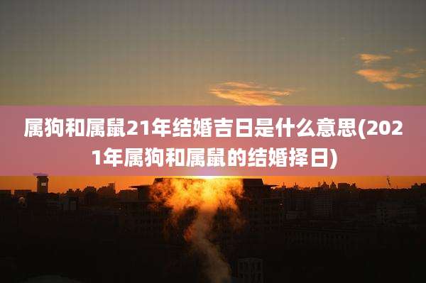 属狗和属鼠21年结婚吉日是什么意思(2021年属狗和属鼠的结婚择日)