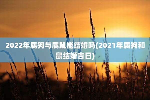 2022年属狗与属鼠能结婚吗(2021年属狗和鼠结婚吉日)