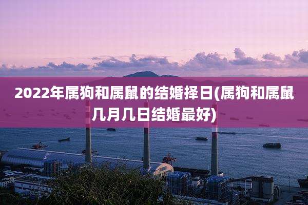 2022年属狗和属鼠的结婚择日(属狗和属鼠几月几日结婚最好)