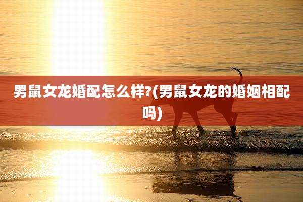 男鼠女龙婚配怎么样?(男鼠女龙的婚姻相配吗)