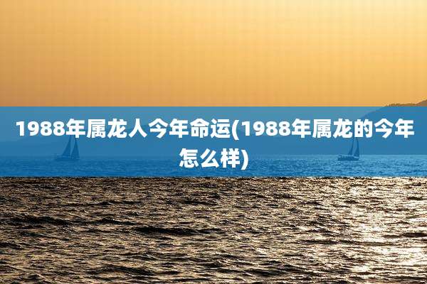 1988年属龙人今年命运(1988年属龙的今年怎么样)