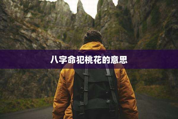 八字命犯桃花的意思