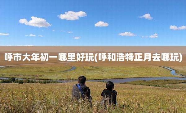 呼市大年初一哪里好玩(呼和浩特正月去哪玩)