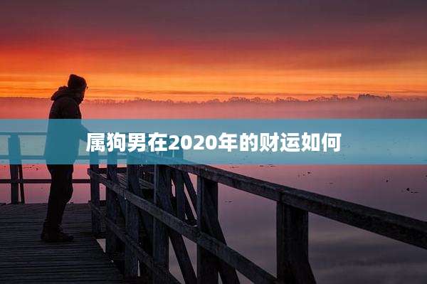 属狗男在2020年的财运如何