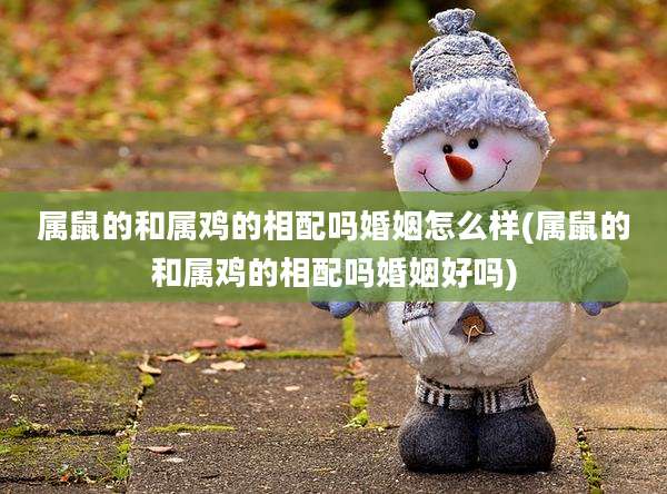 属鼠的和属鸡的相配吗婚姻怎么样(属鼠的和属鸡的相配吗婚姻好吗)