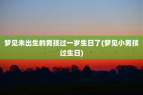 梦见未出生的男孩过一岁生日了(梦见小男孩过生日)