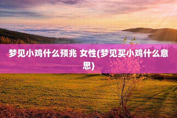 梦见小鸡什么预兆 女性(梦见买小鸡什么意思)