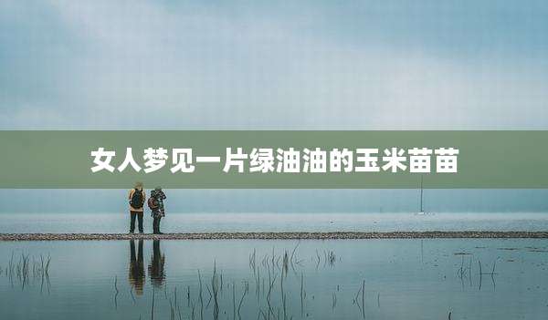 女人梦见一片绿油油的玉米苗苗