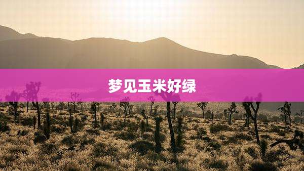 梦见玉米好绿