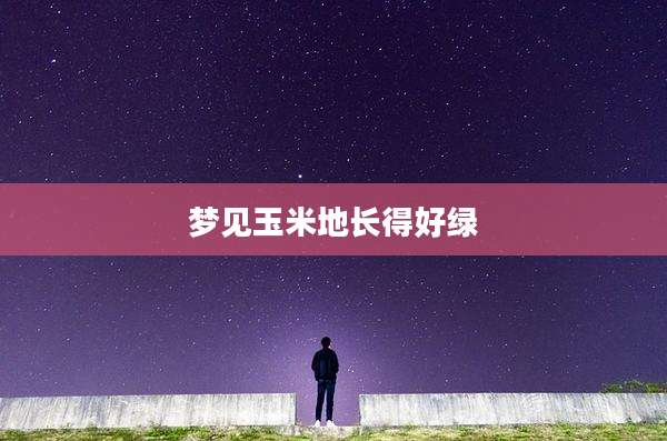 梦见玉米地长得好绿