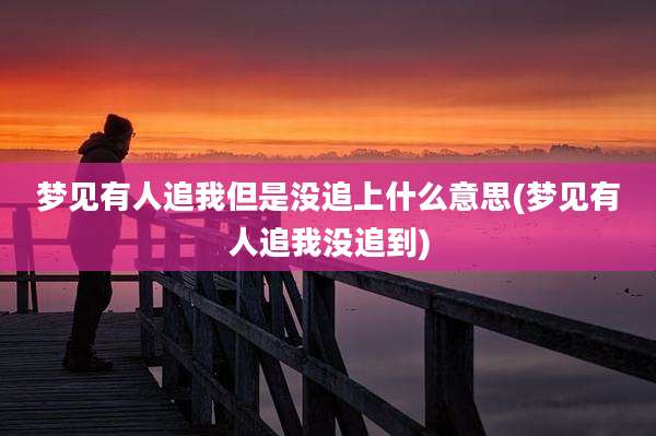 梦见有人追我但是没追上什么意思(梦见有人追我没追到)