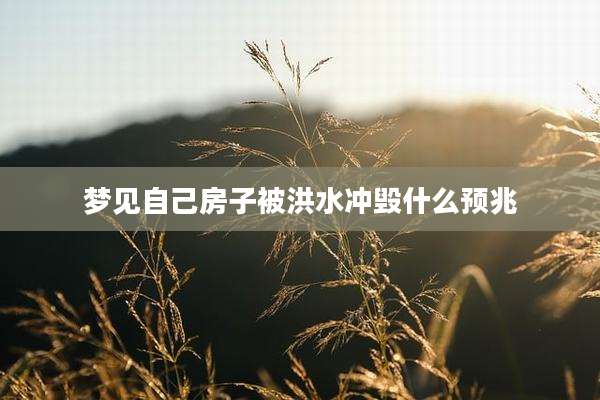 梦见自己房子被洪水冲毁什么预兆