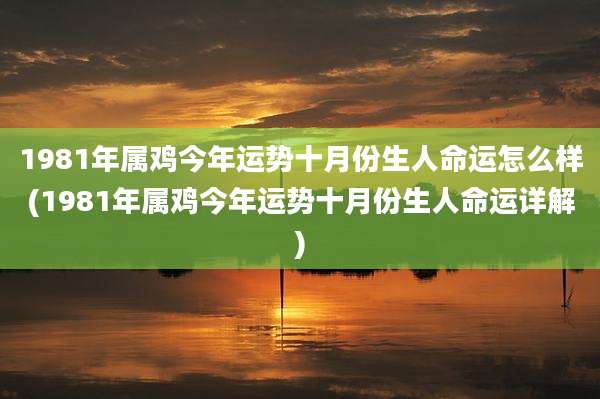 1981年属鸡今年运势十月份生人命运怎么样(1981年属鸡今年运势十月份生人命运详解)
