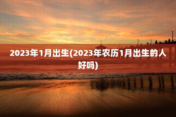2023年1月出生(2023年农历1月出生的人好吗)