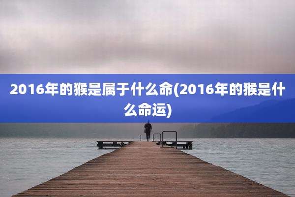 2016年的猴是属于什么命(2016年的猴是什么命运)