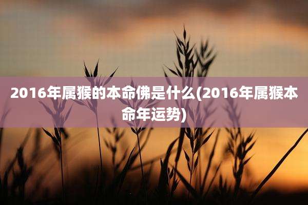 2016年属猴的本命佛是什么(2016年属猴本命年运势)