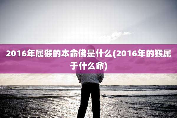 2016年属猴的本命佛是什么(2016年的猴属于什么命)