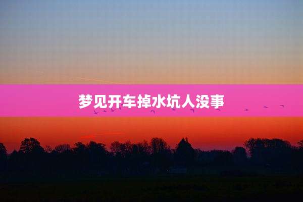 梦见开车掉水坑人没事