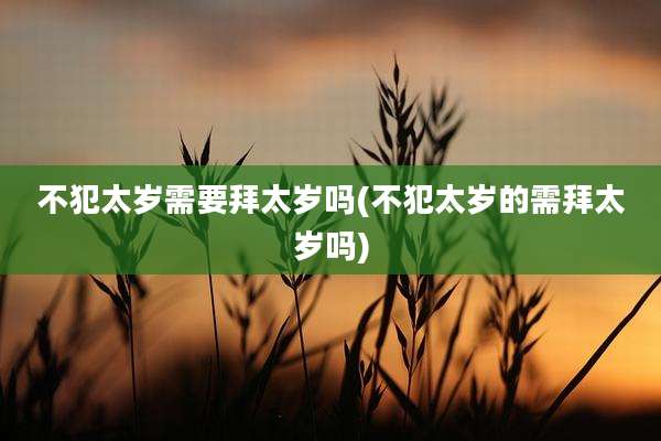 不犯太岁需要拜太岁吗(不犯太岁的需拜太岁吗)