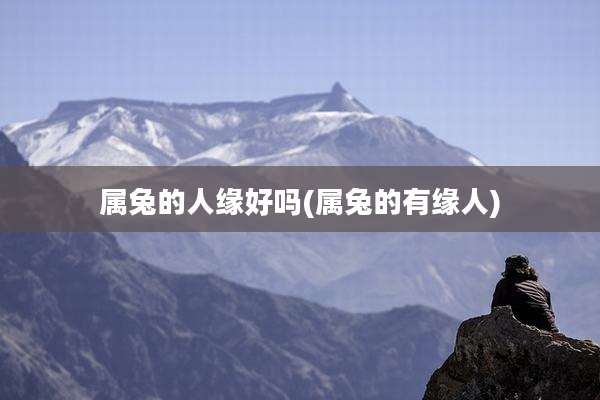属兔的人缘好吗(属兔的有缘人)