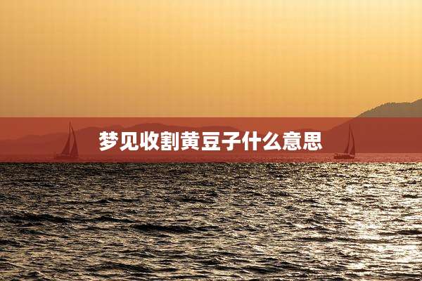 梦见收割黄豆子什么意思