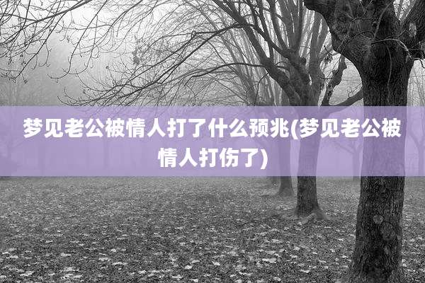 梦见老公被情人打了什么预兆(梦见老公被情人打伤了)