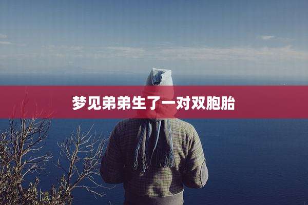 梦见弟弟生了一对双胞胎